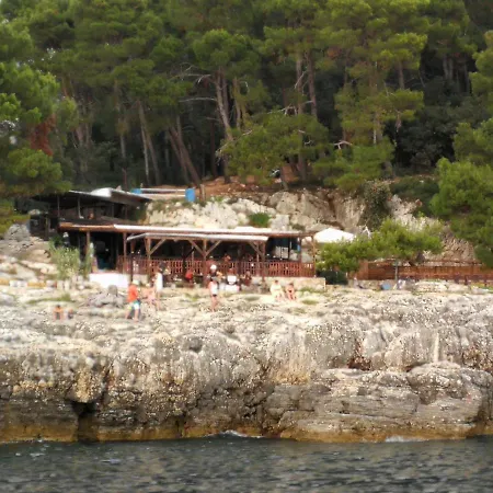 Nela Vinkuran