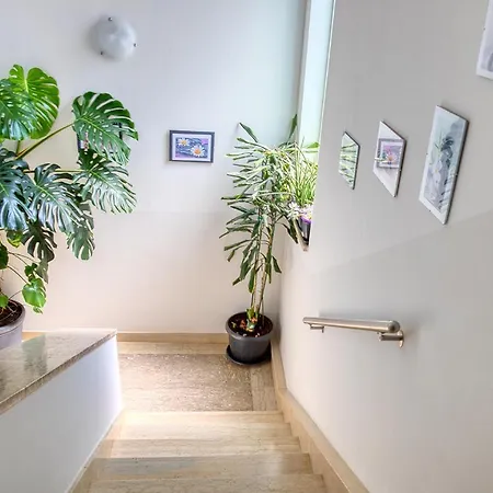 Nela Apartment *