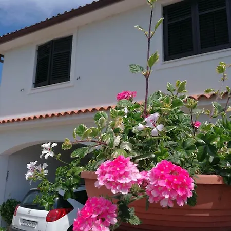 Nela Apartment