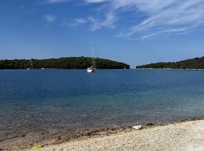 Nela * Винкуран