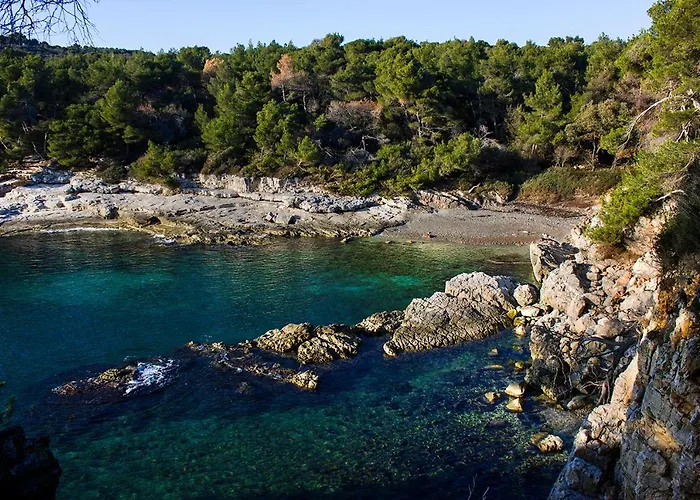 Апартаменты Nela