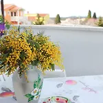Nela