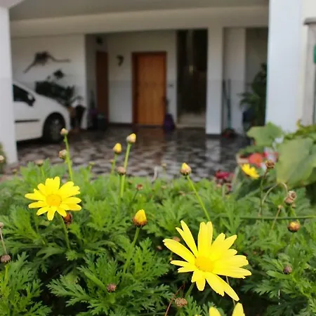 Nela アパート ヴィンクラン