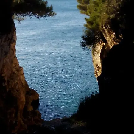 Nela * ヴィンクラン