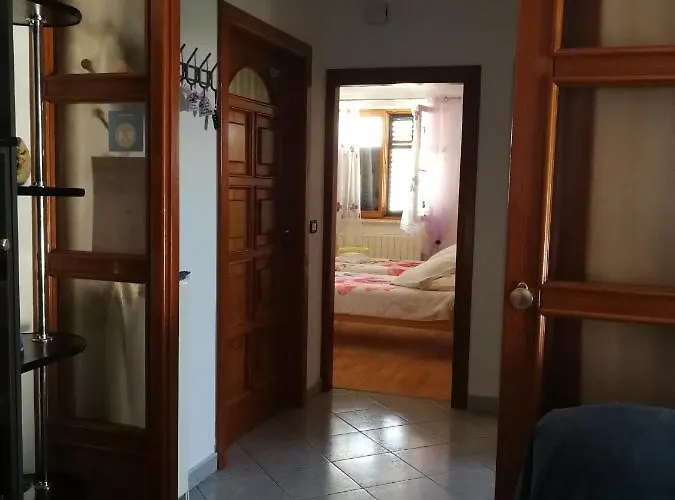 Nela Vinkuran